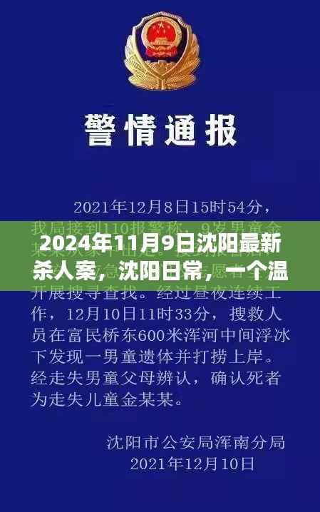 沈阳杀人案背后的友情与陪伴故事，日常温馨背后的真相（2024年）