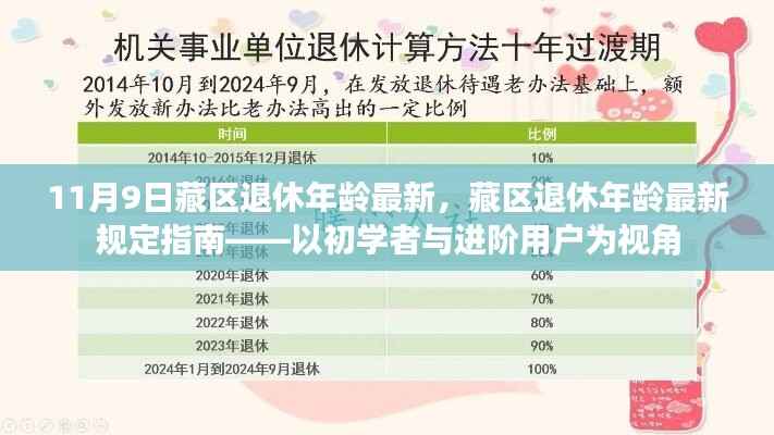 藏区退休年龄最新规定指南，从初学者到进阶用户的视角解析（11月9日更新）