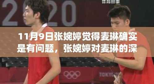 张婉婷深度解析麦琳产品，特性、用户体验与目标用户群体探讨