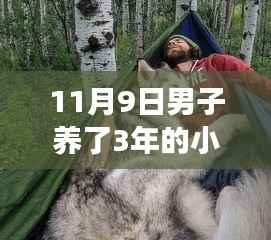 男子意外发现养了三年小狗竟是野狼,自然探索之旅中的犬狼奇缘