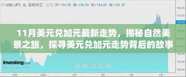 揭秘美元兑加元走势背后的故事，自然美景之旅启程，探寻内心的宁静与平和之旅