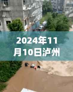 泸州洪水,逆流而上,展现自信之路与变化的力量