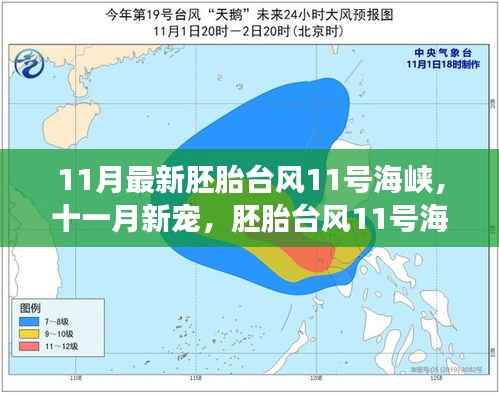 胚胎台风11号海峡,奇妙之旅开启