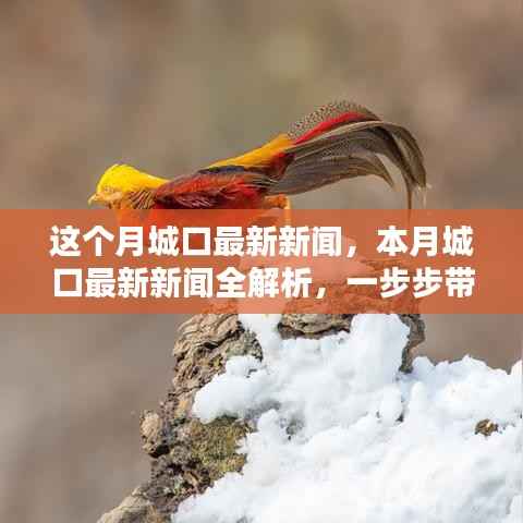 花开无言 第31页