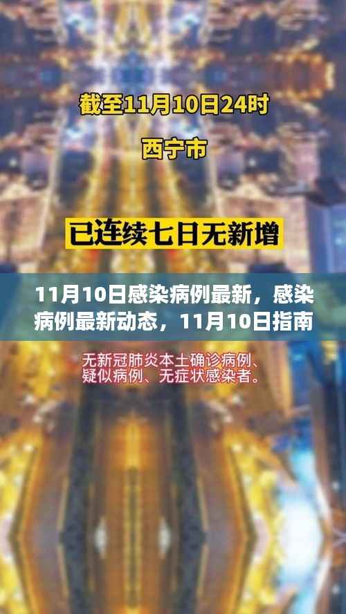 11月10日感染病例最新动态,获取准确信息及应对技能的指南