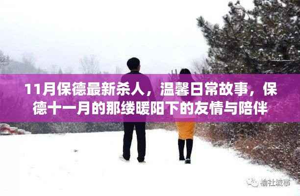保德11月杀人案件背后的温馨日常,暖阳下的友情与陪伴