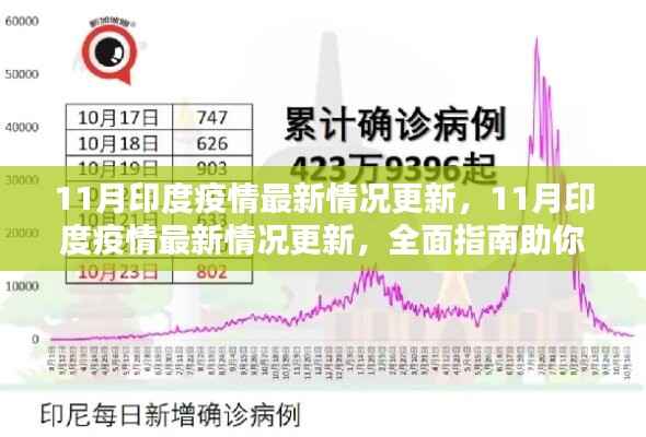 全面指南，了解并应对印度疫情最新情况更新