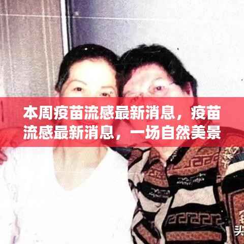 本周疫苗流感最新动态，自然之旅探寻内心宁静与平和的平和心境