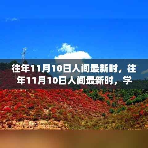 往年11月10日人间新风尚，学习变化，自信成就梦想之路