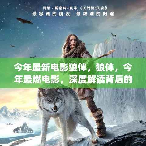 今年最燃电影狼伴,深度解读背后的故事与情感传奇!
