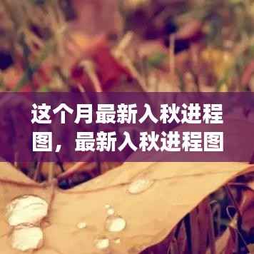 风驰电掣 第30页