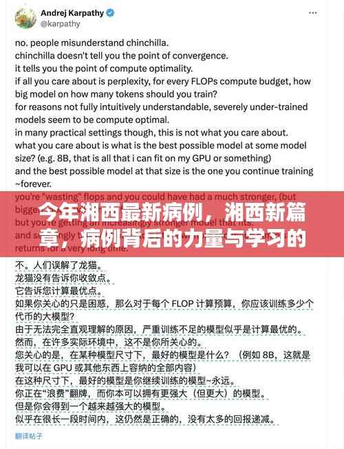 湘西最新病例背后的力量与学习魔法，揭示湘西新篇章的启示