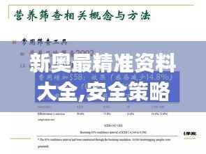 新奥最精准资料大全,安全策略评估_神尊LNH87.37
