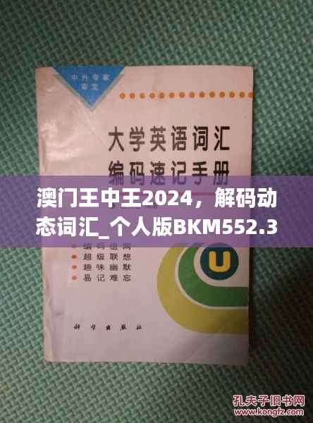 澳门王中王2024，解码动态词汇_个人版BKM552.33指南
