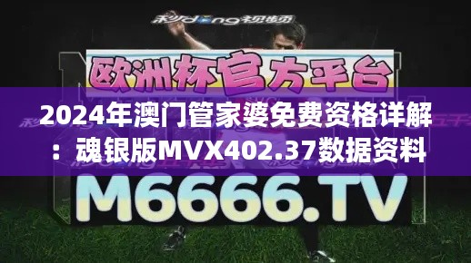 2024年澳门管家婆免费资格详解:魂银版MVX402.37数据资料解读