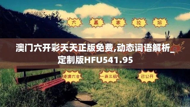 澳门六开彩天天正版免费,动态词语解析_定制版HFU541.95