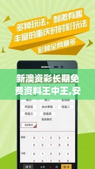 新澳资彩长期免费资料王中王,安全策略评估方案_创意版WVD609.82