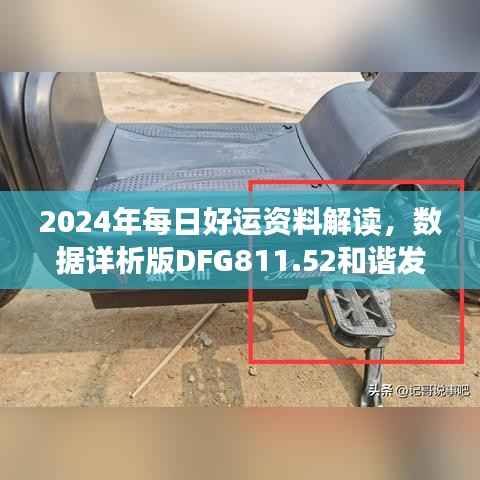 2024年每日好运资料解读，数据详析版DFG811.52和谐发布