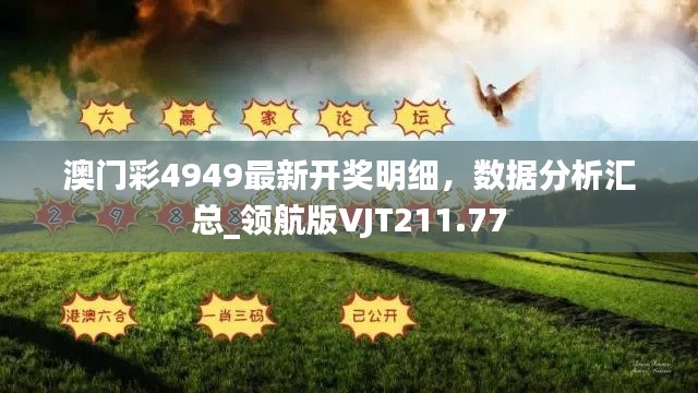 澳门彩4949最新开奖明细,数据分析汇总_领航版VJT211.77