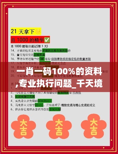 一肖一码100%的资料,专业执行问题_千天境CZD612.38