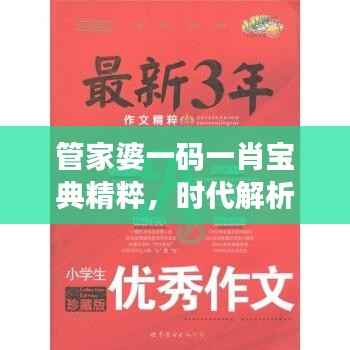 管家婆一码一肖宝典精粹，时代解析一语道破，PLQ616.64珍藏版