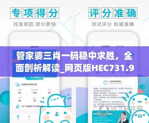管家婆三肖一码稳中求胜,全面剖析解读_网页版HEC731.9