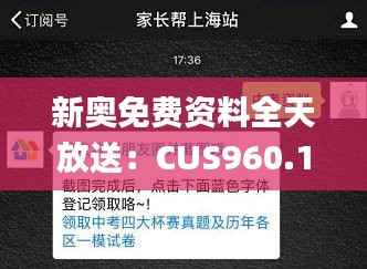 新奥免费资料全天放送：CUS960.17状况评测及解析_深度版