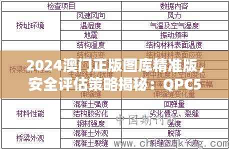 2024澳门正版图库精准版,安全评估策略揭秘:QPC506.28解密