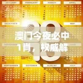 澳门今夜必中1肖,权威解析版DQX335.36测试版