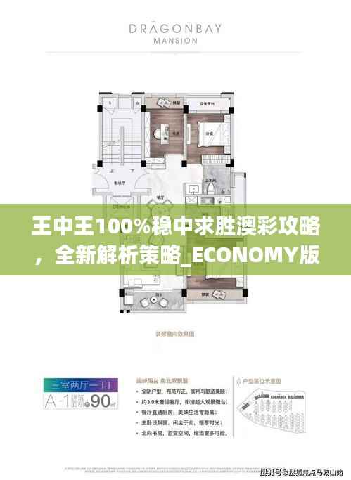 王中王100%稳中求胜澳彩攻略，全新解析策略_ECONOMY版ANL510.67