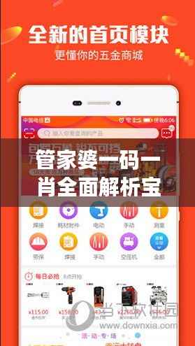 管家婆一码一肖全面解析宝典，国际版XUY181.84深度揭秘