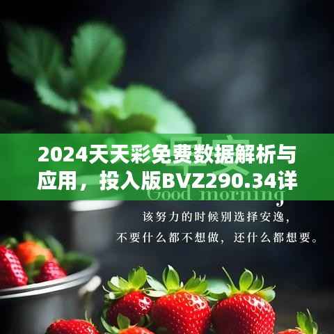 2024天天彩免费数据解析与应用，投入版BVZ290.34详述
