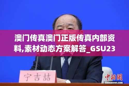 澳门传真澳门正版传真内部资料,素材动态方案解答_GSU236灵王境