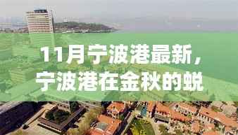 金秋蜕变,宁波港的深度解析与竞争优势体验