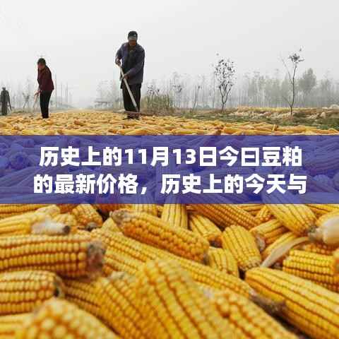 揭秘豆粕市场,今日价格走势与历史上的今天关联揭秘