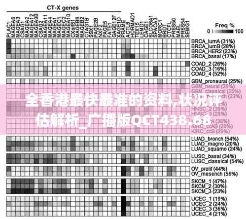 全香港最快最准的资料,状况评估解析_广播版QCT438.68