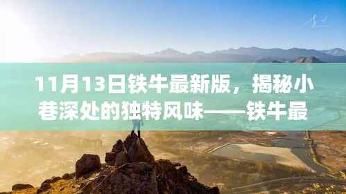 铁牛最新版特色小店探索之旅,小巷深处的独特风味揭秘