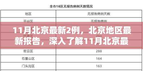 北京地区最新报告,深入了解11月新增两例的产品特性与体验