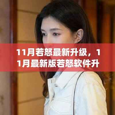 零基础步步为营,11月最新版若怒软件升级全攻略