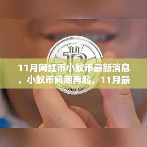 11月小蚁币风潮再燃,最新动态与深度解读