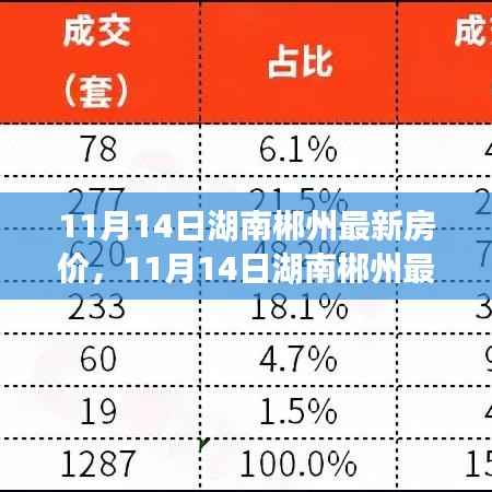 11月14日湖南郴州最新房价分析与展望