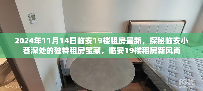探秘临安小巷深处的宝藏租房,临安租房新风尚,最新房源一览(日期,2024年11月)