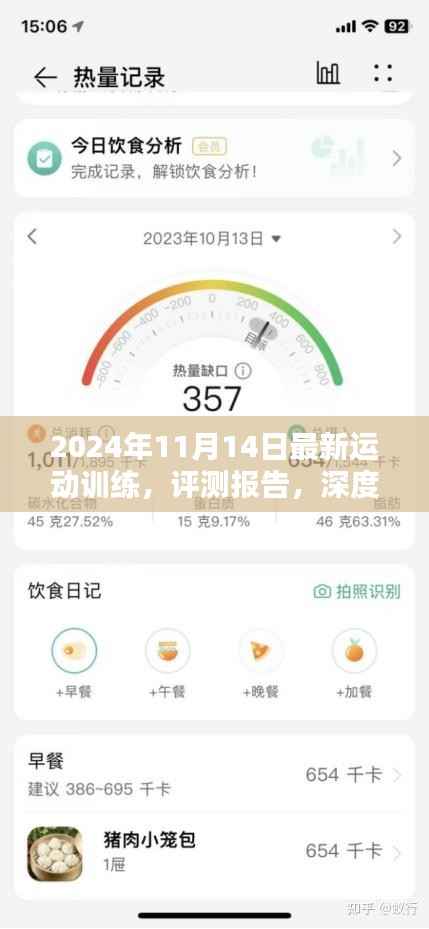 深度解析,最新运动训练系统实战表现与用户体验评测报告(2024年11月)