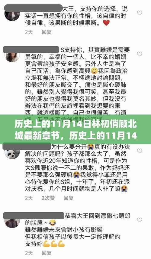 历史上的11月14日与林初俏顾北城故事最新揭秘,最新章节抢先看!