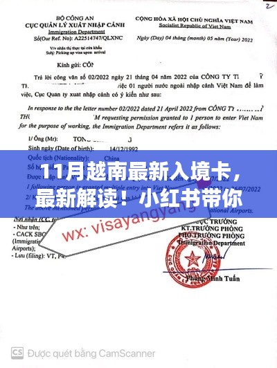 小红书解读,最新越南入境卡详解及新政策解析
