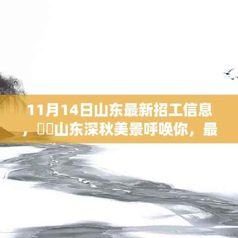 山东最新招工信息带你领略深秋美景的心灵之旅启程招募!
