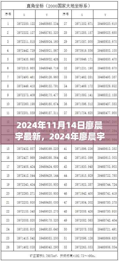 廖晨宇成长轨迹揭秘,最新动态与未来展望(2024年)