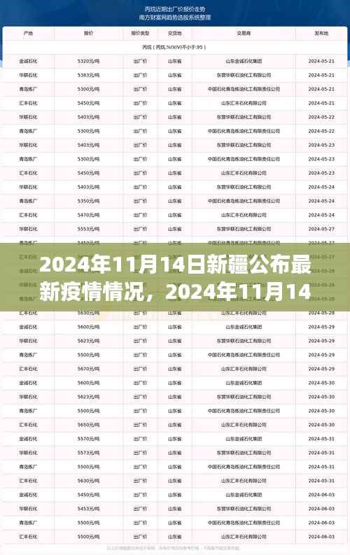 新疆最新疫情情况解读与案例分析,全面公布与深入分析(2024年11月14日)