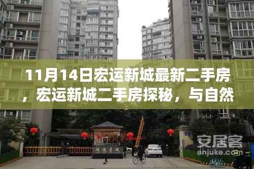 宏运新城二手房探秘，与自然共舞的生活港湾，启程寻找宁静家园的启程之旅