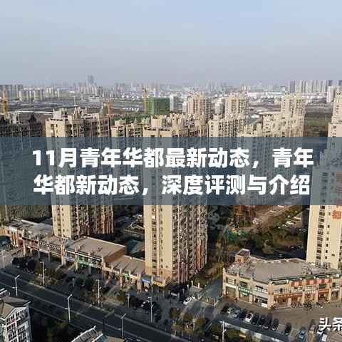 11月青年华都全新动态揭秘，深度评测与详细介绍